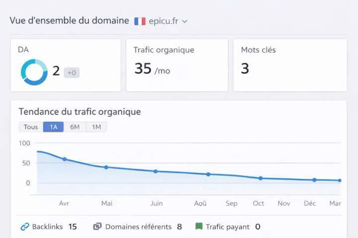 EPICU avant optimisation SEO, trafic organique faible