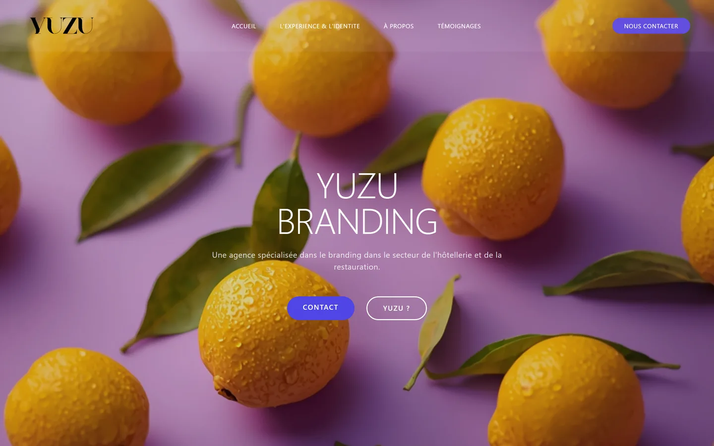 Site internet Yuzu Branding créé par VBWEB à Rennes